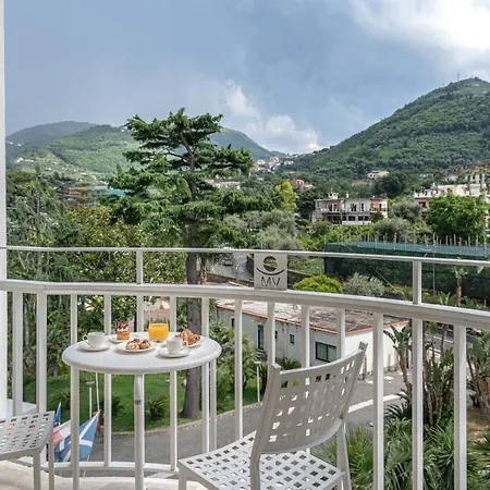 酒店 月谷大酒店 4*