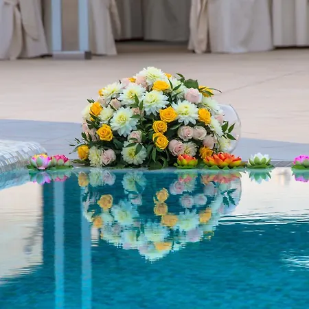 月谷大酒店 维克艾库塞