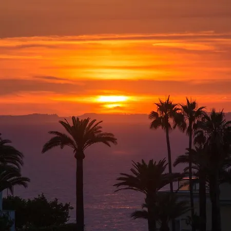 酒店 月谷大酒店 维克艾库塞